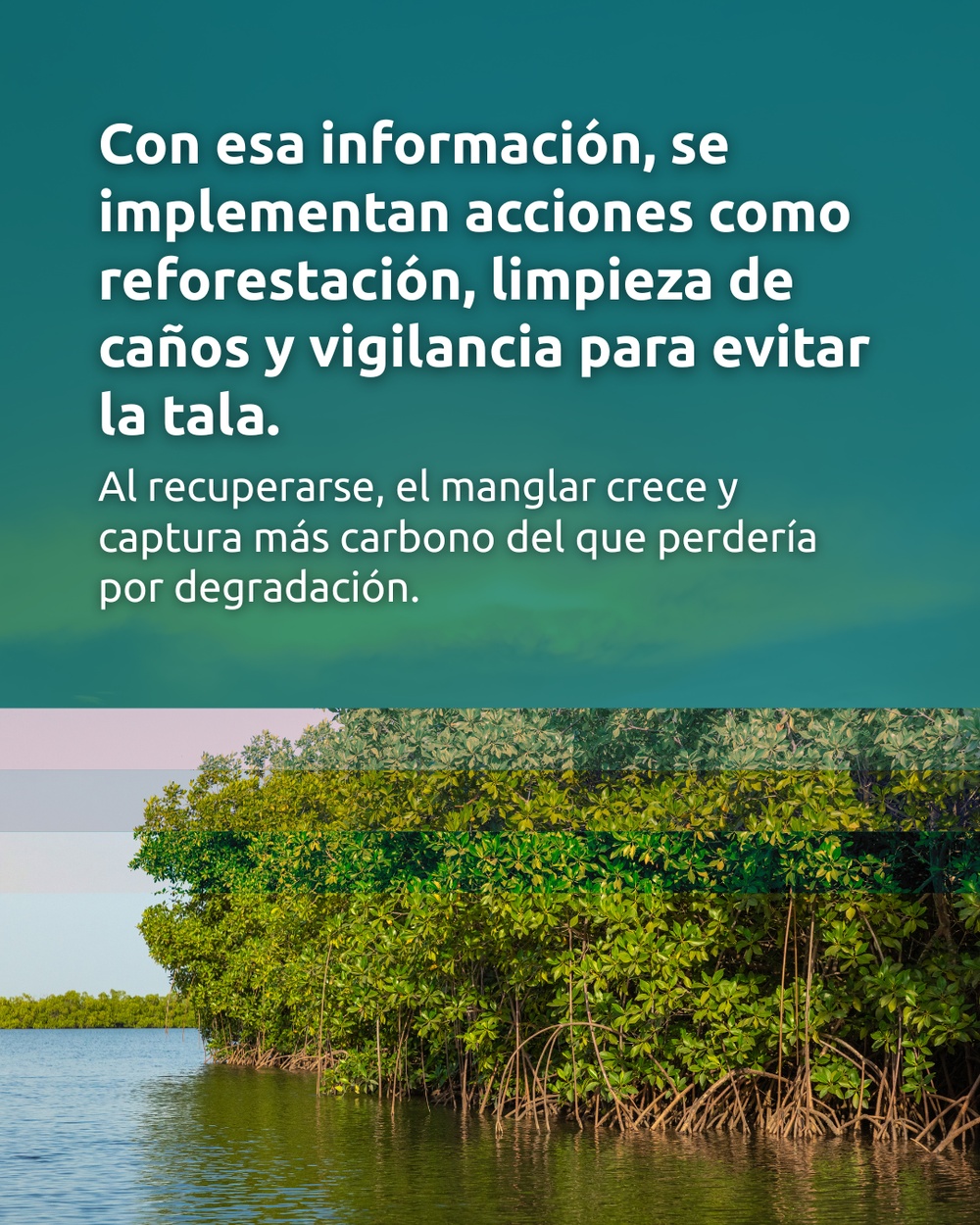 Slide 4 infografía 2